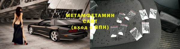 индика Богданович