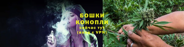 МДПВ Бородино