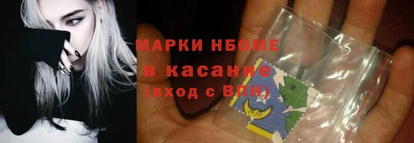 МДПВ Бородино