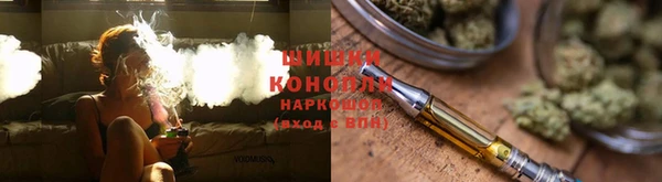 индика Богданович