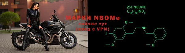 индика Богданович