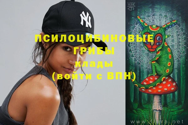 индика Богданович