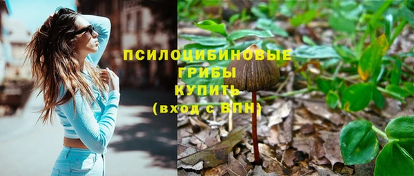 синтетический гашиш Белокуриха