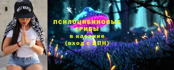 скорость Богородицк