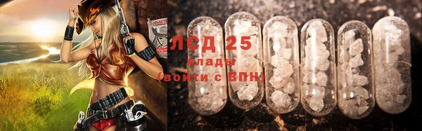 индика Богданович