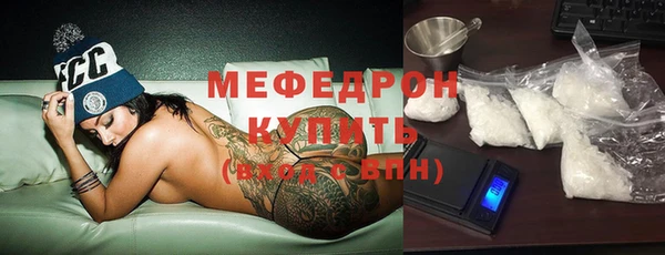 МДПВ Бородино