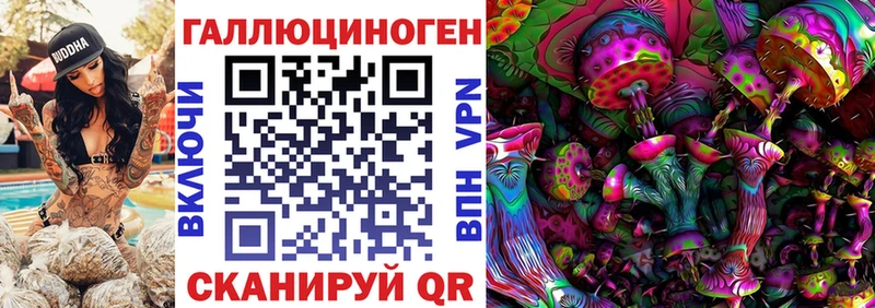 это как зайти  Дигора  Псилоцибиновые грибы Magic Shrooms 
